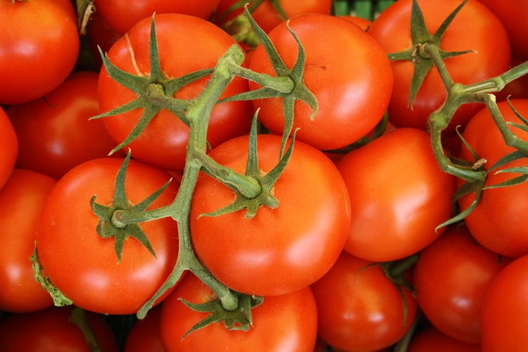 Não é um tomate muito ácido e é bastante adocicado, excelente para saladas, molhos e pratos quentes como risotos ou na fabricação de ketchup | Unsplash 